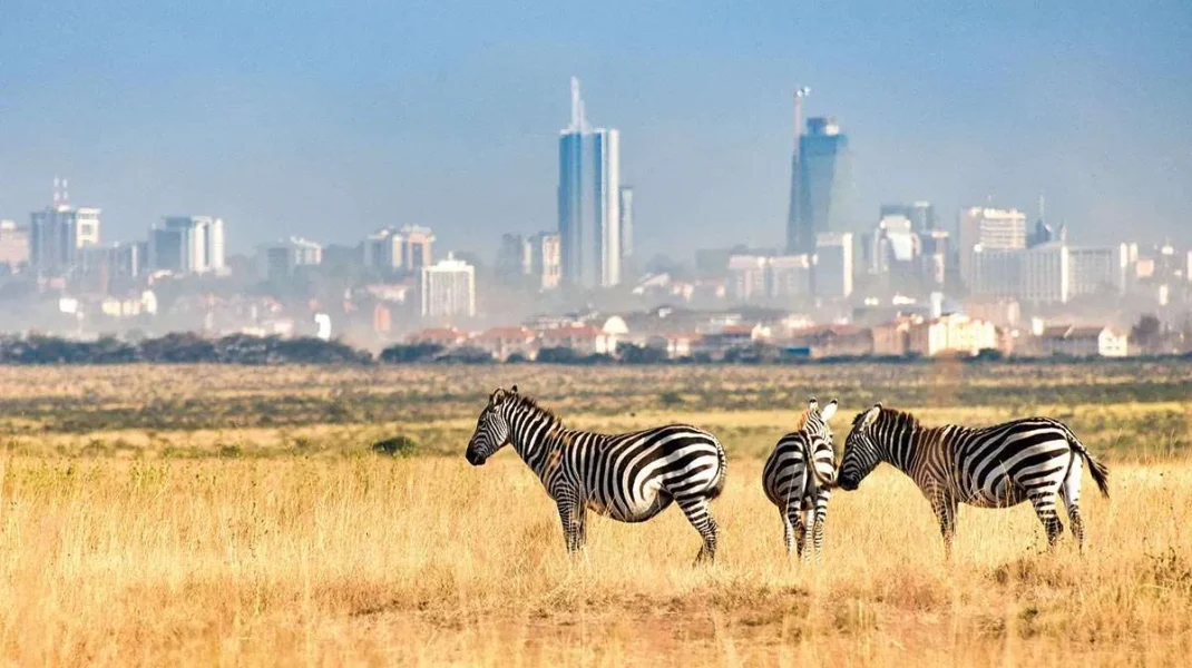 Nairobi National Park